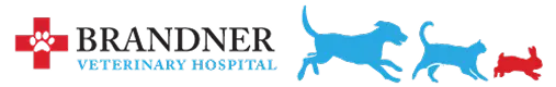 Brandner Veterinary Hospital